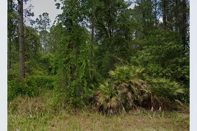 138 Pine Tree Drive, Palatka, FL 32177 - Photo 2