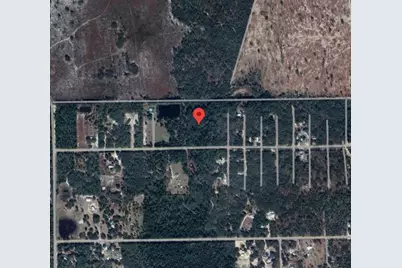 138 Pine Tree Drive, Palatka, FL 32177 - Photo 1
