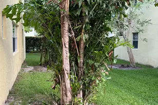 1191 Imperial Lake Rd, West Palm Beach, FL 33413 - Photo 4