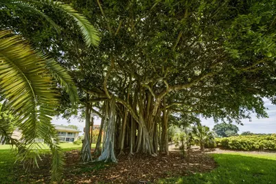10720 Ave Of The Pga, Palm Beach Gardens, FL 33418 - Photo 88
