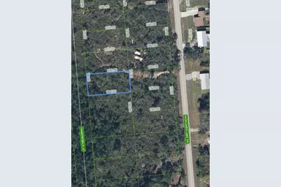 651 McKinley Street, Lake Placid, FL 33852 - Photo 1