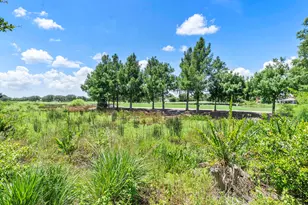 10282 Emerson St, Parkland, FL 33076 - Photo 40