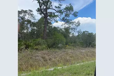 1002 Archie Summers Road, Lake Placid, FL 33852 - Photo 1