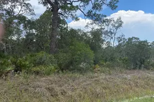 1002 Archie Summers Rd, Lake Placid, FL 33852 - Photo 1