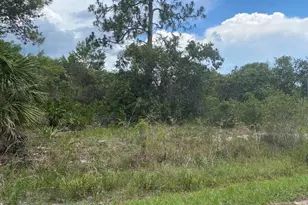 1010 Archie Summers Rd, Lake Placid, FL 33852 - Photo 1