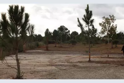 18134 NW 298th Street, Okeechobee, FL 34972 - Photo 4