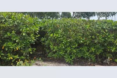 200 Waterway Road #104, Tequesta, FL 33469 - Photo 78