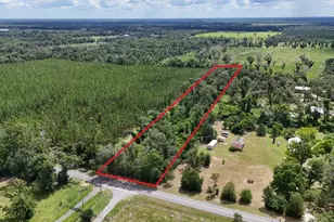 0 185th Rd, Live Oak, FL 32060 - Photo 1