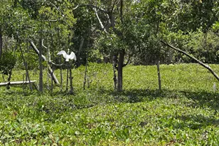225 N Lakeshore Dr, Hypoluxo, FL 33462 - Photo 64
