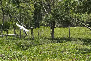 225 N Lakeshore Dr, Hypoluxo, FL 33462 - Photo 66
