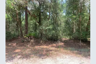 112 New Jersey Street, Satsuma, FL 32189 - Photo 1