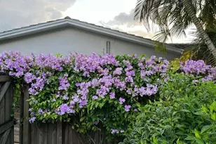 4201 Fillmore St, Hollywood, FL 33021 - Photo 24