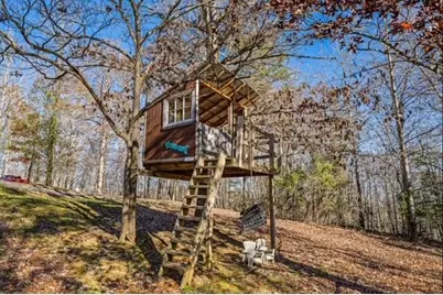208 Wolf Trace, Blue Ridge, GA 30513 - Photo 4