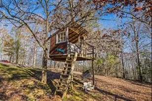 208 Wolf Trce, Blue Ridge, GA 30513 - Photo 4