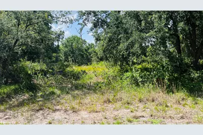 3155 Miller Avenue, Lake Placid, FL 33852 - Photo 1