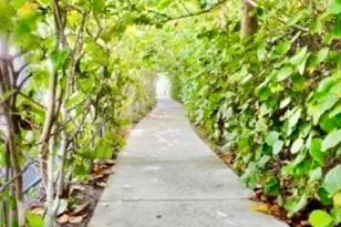 33 S Ocean Ave, Palm Beach Shores, FL 33404 - Photo 58