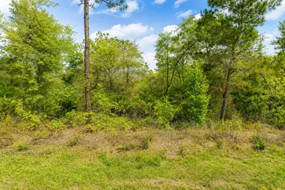 3075 W Bedford Lane, Dunnellon, FL 34433 - Photo 1