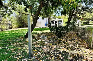 2425 Pierce St, Hollywood, FL 33020 - Photo 16