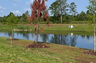 3015 Sanctuary Dr, Clermont, FL 34714 - Photo 10