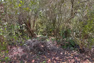 3358 S Jog Rd, Greenacres, FL 33467 - Photo 12