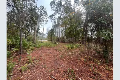 Tbd Susan Street, Interlachen, FL 32148 - Photo 2
