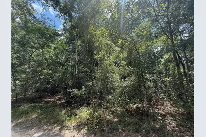 313 Calhoun Avenue, Florahome, FL 32140 - Photo 2
