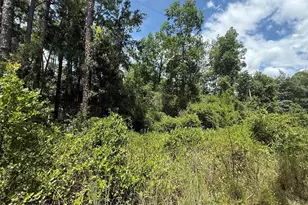 313 Calhoun Ave, Florahome, FL 32140 - Photo 1