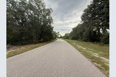 1012 Wildflower Street, Lake Placid, FL 33852 - Photo 4