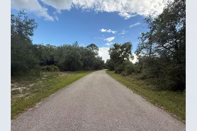 1012 Wildflower Street, Lake Placid, FL 33852 - Photo 8