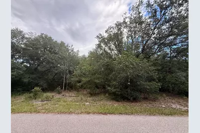 1012 Wildflower Street, Lake Placid, FL 33852 - Photo 14