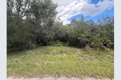 1012 Wildflower Street, Lake Placid, FL 33852 - Photo 10