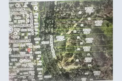 8119 E Partridge Lane, Floral City, FL 34436 - Photo 2