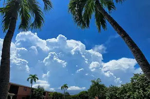 50 SE 12th St, Boca Raton, FL 33432 - Photo 24