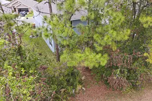 692 NE Turtleback Trail, Port Saint Lucie, FL 34983 - Photo 62