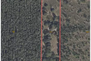 21536 County Rd 455, Clermont, FL 34715 - Photo 1