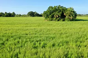 Tbd NW 276th St, Okeechobee, FL 34972 - Photo 10
