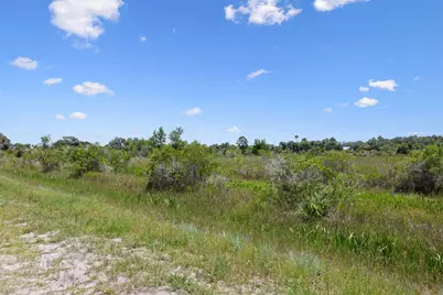 14932 NW 280th Street, Okeechobee, FL 34972 - Photo 10
