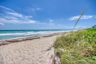1501 NE Ocean Blvd, Stuart, FL 34996 - Photo 2