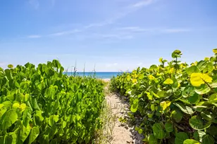 2565 S Ocean Blvd, Highland Beach, FL 33487 - Photo 56