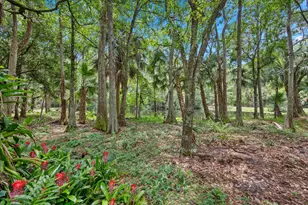 1255 B Rd, Loxahatchee Groves, FL 33470 - Photo 50