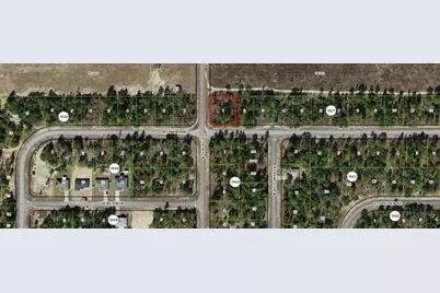 6816 N Sandborn Loop, Dunnellon, FL 34433 - Photo 2