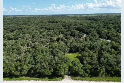 21496 NW 256th Street, Okeechobee, FL 34972 - Photo 4