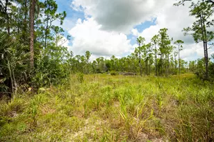 12460 79th St, Fellsmere, FL 32948 - Photo 14