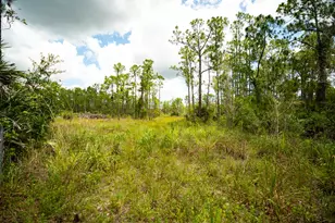 12460 79th St, Fellsmere, FL 32948 - Photo 20