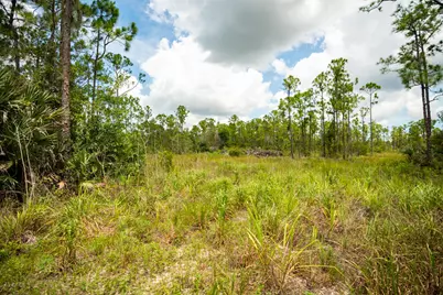 12460 79th Street, Fellsmere, FL 32948 - Photo 14