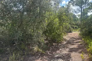 336 Stardust Ave, Lake Placid, FL 33852 - Photo 1
