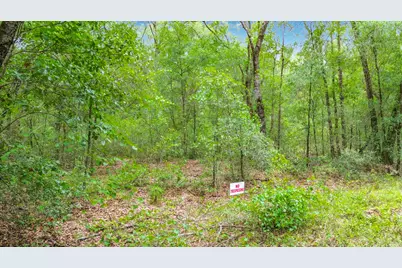 Sw 153rd Avenue SW Rainbow Park Avenue, Ocala, FL 34481 - Photo 12