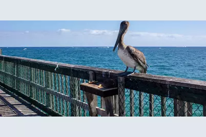 1370 S Ocean Boulevard #405, Pompano Beach, FL 33062 - Photo 38