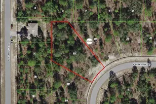 3617 W Parkview Dr, Dunnellon, FL 34433 - Photo 1