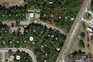 545 W Anderson Ln, Dunnellon, FL 34434 - Photo 1